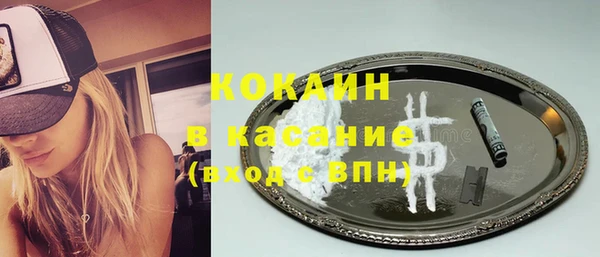 гашик Богданович