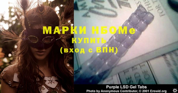 гашик Богданович