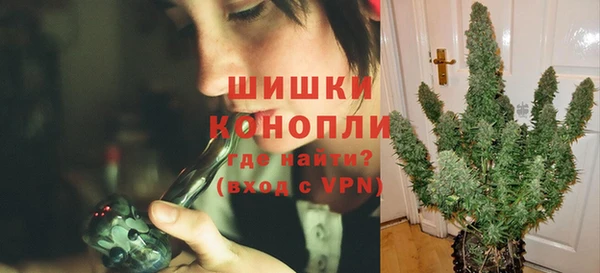 трава Богородицк