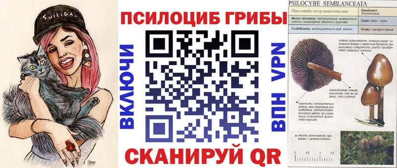 купить Коломна Псилоцибиновые грибы Magic Shrooms